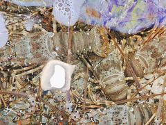 -醉壹号海鲜大排档(厦门美食地标店)