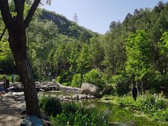 -白水寺森林公园