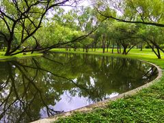 -上海共青森林公园