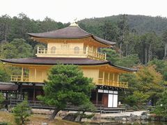 -豆政(金閣寺境内売店)