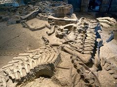 -自贡恐龙博物馆