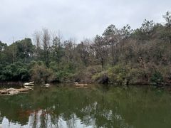 -天目湖山水园