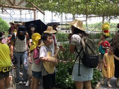 -迪茵湖田家舍生态农场