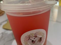 -Husky Go! 哈士奇体验馆·宠物咖啡厅狗咖