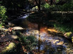 -中国茶叶博物馆(双峰馆区)