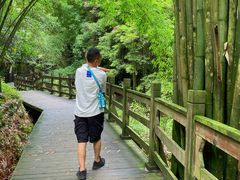 -凤栖山