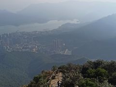 -梧桐山风景名胜区