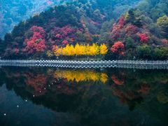 -秦岭终南山世界地质公园翠华山景区