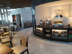 -虹桥机场国航贵宾室v8