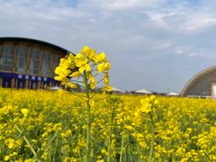 -中国天府农业博览园