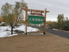 -亿利库布其七星湖沙漠生态旅游区