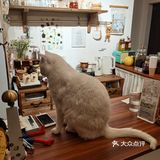 把甜留给喜欢