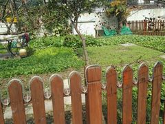 -漫渡庄绿岛花园•隐世庭园菜(滨湖店)