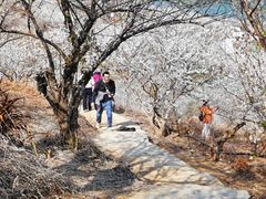 -广州市流溪河国家森林公园