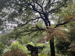 -申粤轩酒楼·三十年粤菜经典(丁香花园店)