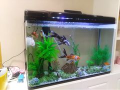 -悬壶盲人推拿按摩中心(长江路店)