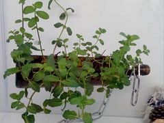 -斯坦星球AI编程·机器人科创·科学实验·信奥·思维·STEM·积木拼搭·竞赛考级(浦东联洋广场大拇指龙阳御桥中心)