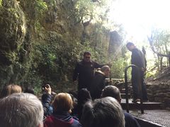 -怀托摩萤火虫洞