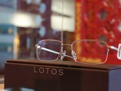 -大视光学•LINDBERG林德伯格•全球手工眼镜集合店(王府井店)