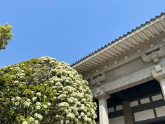 -汉陵苑