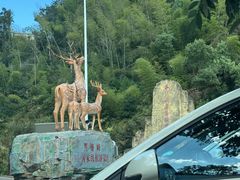 -长沙黑麋峰国家森林公园
