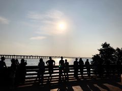 -宝安西湾红树林湿地公园