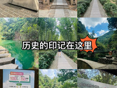 -大奇山国家森林公园