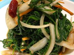 拌沙葱-新疆巴州金丝特餐厅(大钟寺店)