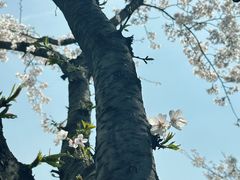 -龙美术馆(西岸馆)