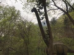 -木兰云雾山