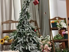 -海马体照相馆(万菱汇店)