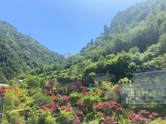 -古尔沟华美达温泉度假酒店