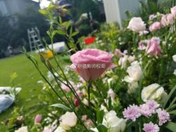 -维纳斯婚纱摄影(鞍山店)