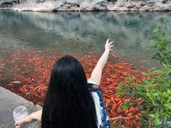 -楠溪江风景名胜区