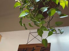 -鑫日千里马朝鲜族小馆(总店)