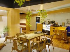 大堂-柴务处·柴犬主题狗咖