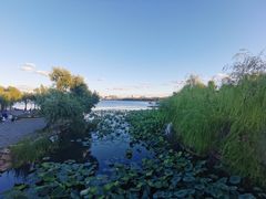 -长春市南湖公园