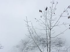 -九峰山