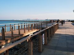 -东疆建设开发纪念公园