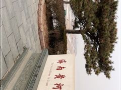 -济南百里黄河风景区