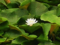 -湖州太湖旅游度假区-月亮广场