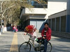 -西安交通大学(雁塔校区)