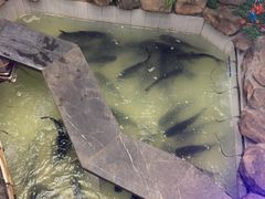 -春盛渔府(牛首山店)