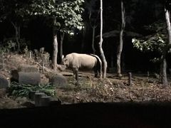 -清迈夜间动物园