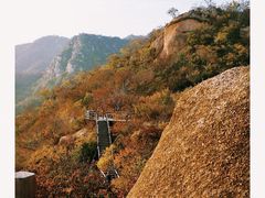 -大岭沟猕猴桃谷风景区
