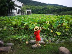 -苏州环秀晓筑养生度假村
