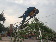 -石家庄市动物园