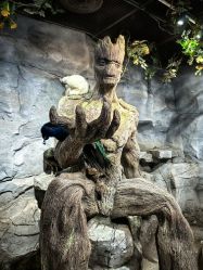 -Zoolung Zoolung动物主题公园(海信广场店)