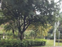 -三水森林公园