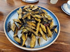 -美达尔烧烤海鲜家常菜(泰山路店)